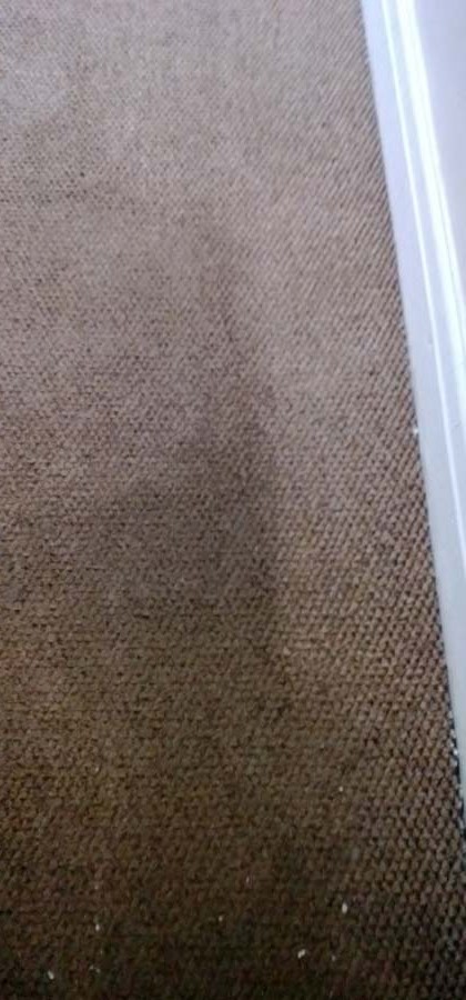 after builders carpets