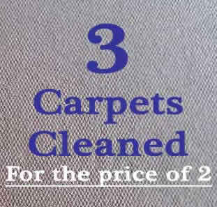 professional carpet cleaning