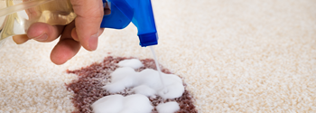 best way to clean carpet