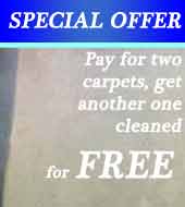 carpet cleaning offer